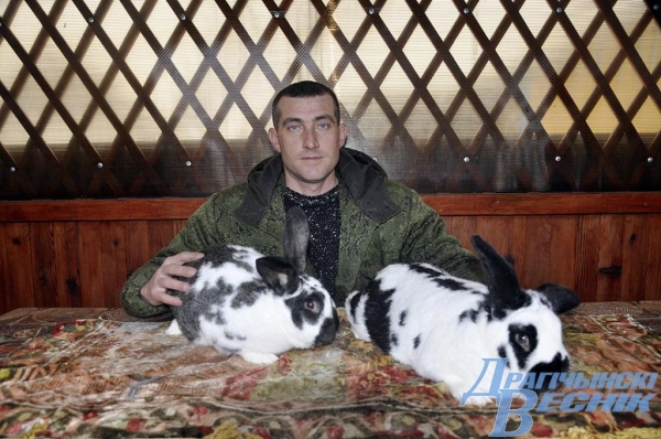 Кролики – это не только ценный мех. Житель Дрогичина поделился секретами кролиководства Кролики – это не только ценный мех. Житель Дрогичина поделился секретами кролиководства