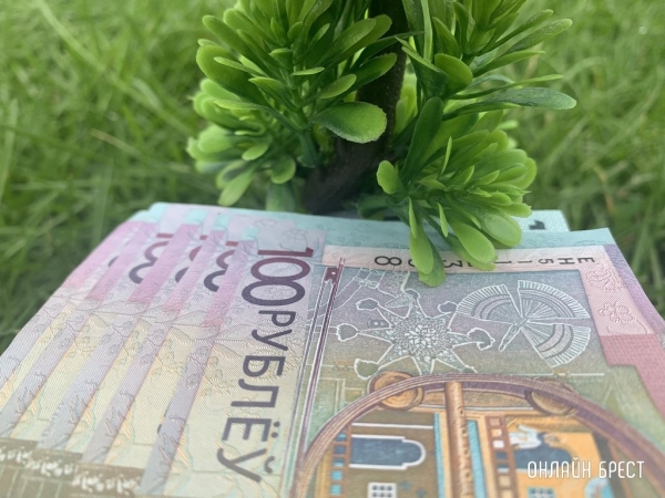 Кому в Беларуси готовы платить зарплату от 5000 рублей – изучили вакансии